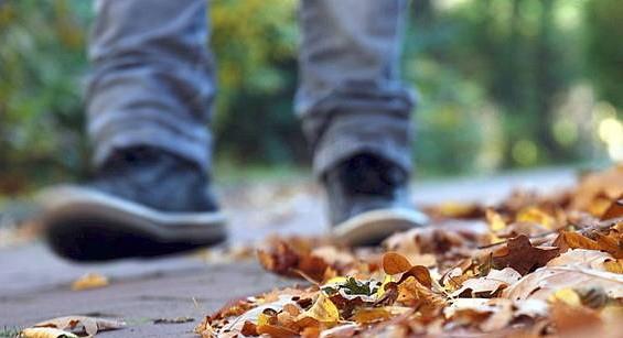 Herbstlaub: Reinigungspflicht für Anwohner